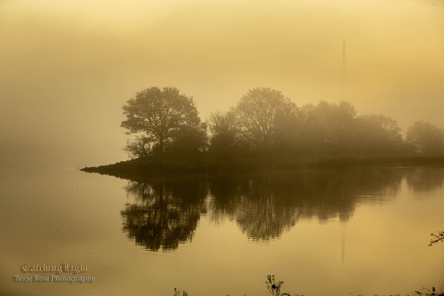 Morning reflection River Clyde I